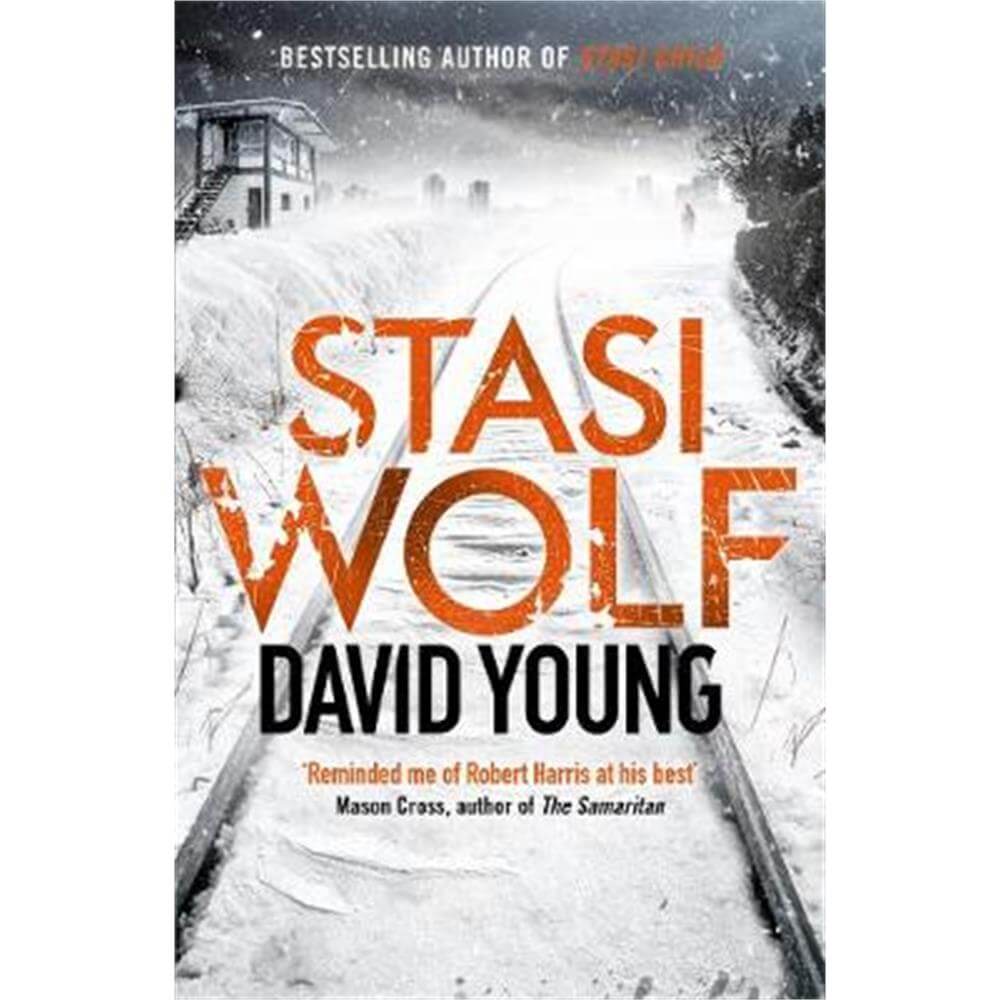 Stasi Wolf (Paperback) - David Young